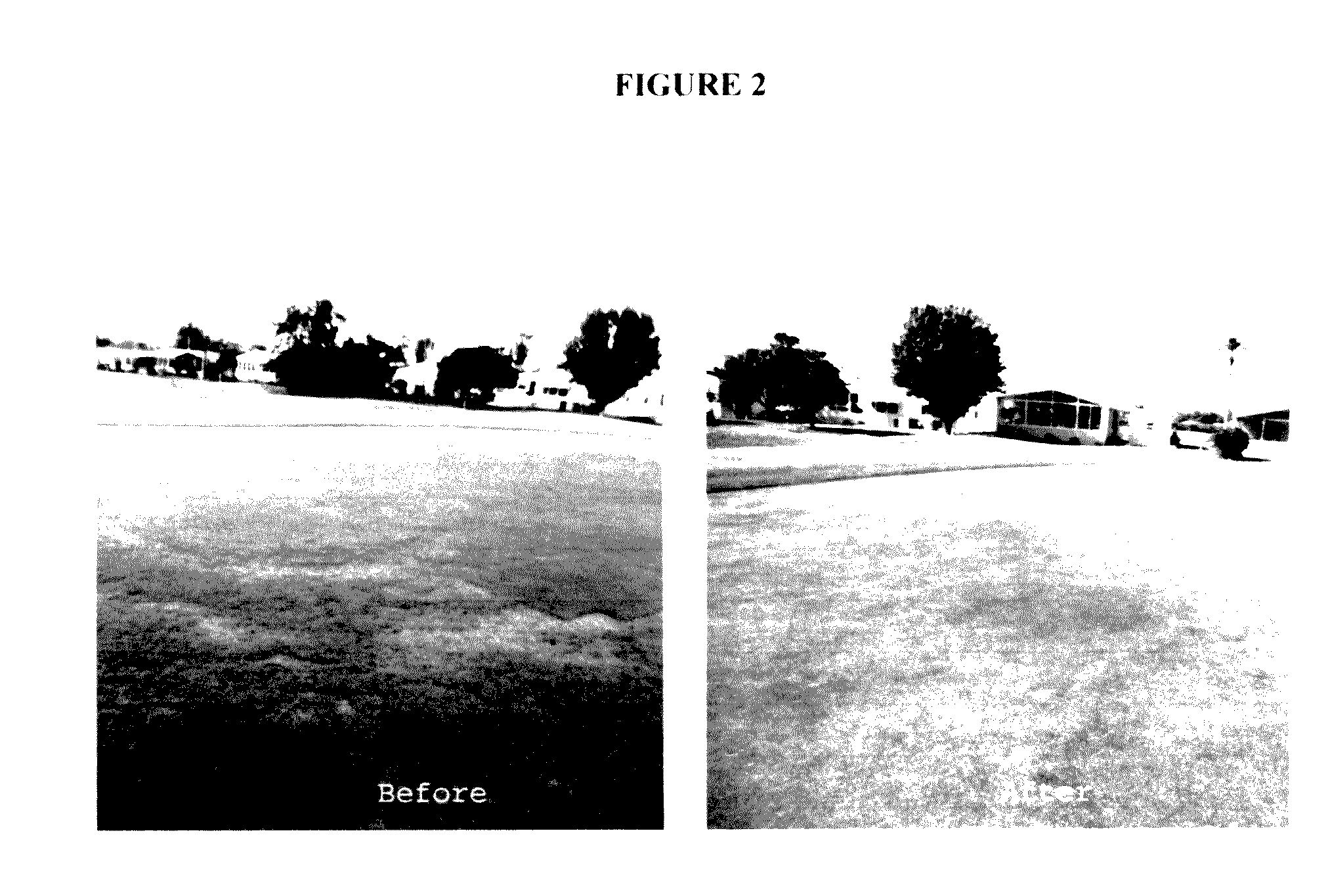 Compositions and methods for improving plant health