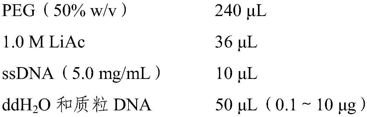 Potassium transport protein TPK1 from tobacco and coded gene and application thereof