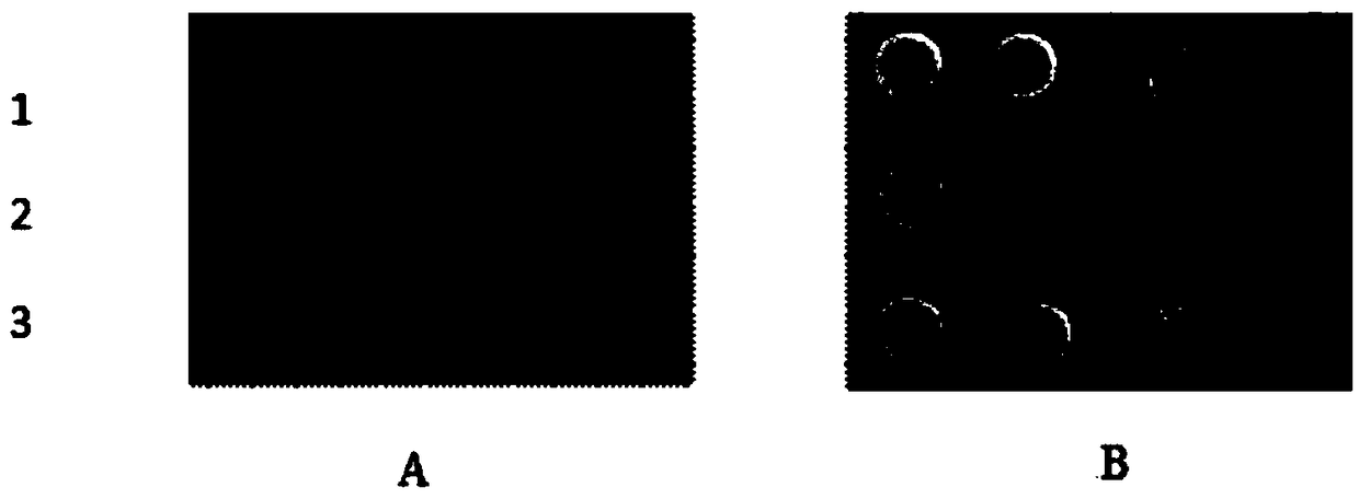 Potassium transport protein TPK1 from tobacco and coded gene and application thereof