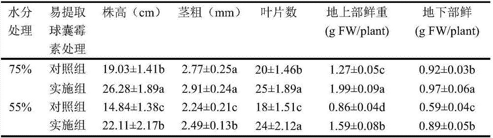 Method for improving drought resistance of citruses