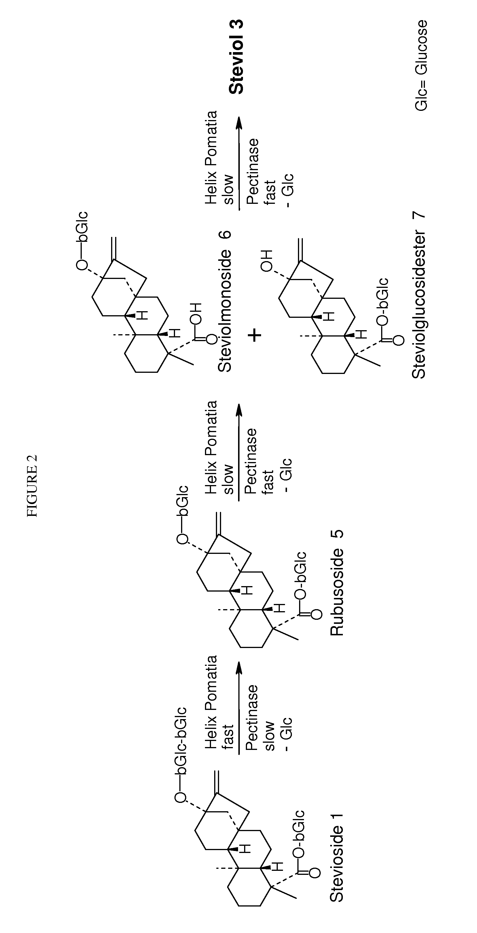Enzymatic cleavage of stevioside to produce steviol