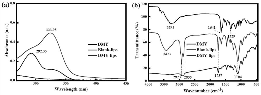 Preparation method and an application of multi-vesicle type dihydromyricetin liposome