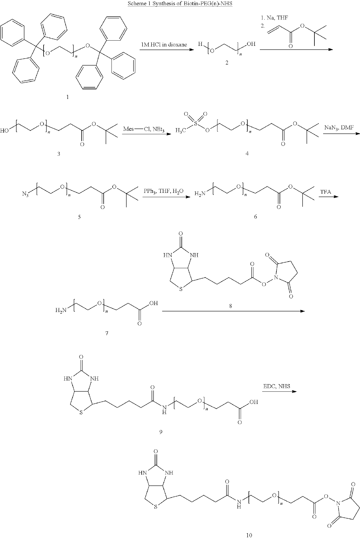 Multi-epitope fusion protein of an HCV antigen and uses thereof