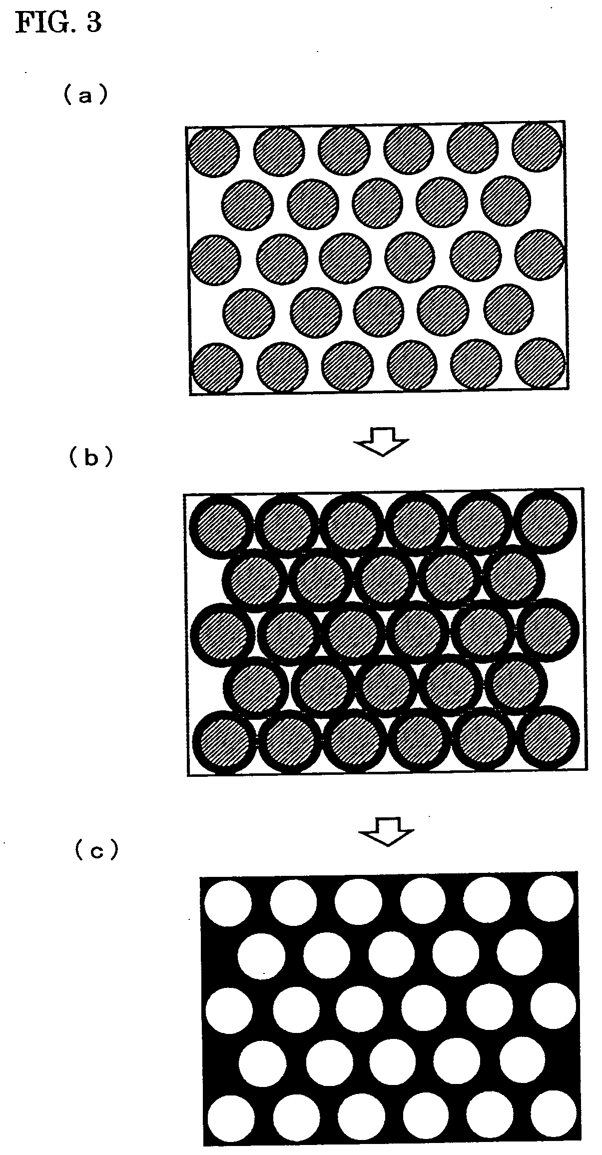 Porous silicon nitride ceramics and method for producing the same