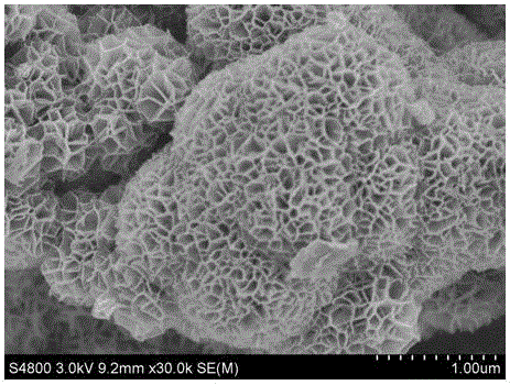 Coralline porous delta-MnO2 and preparation method thereof