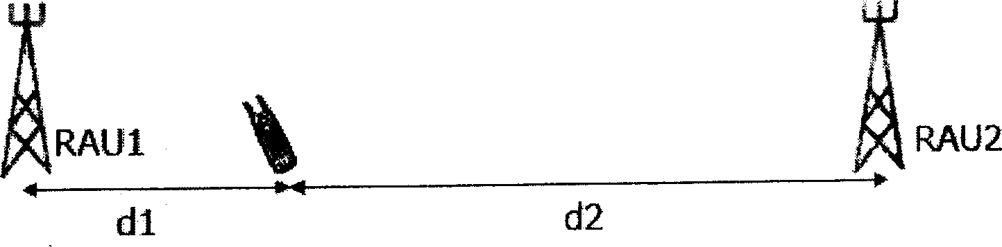 Distribution type antenna system, and communication method