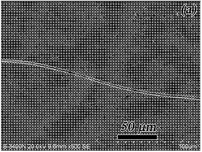 Metastable beta-type Ti-Mo-Si system biomedical alloy and preparation method thereof