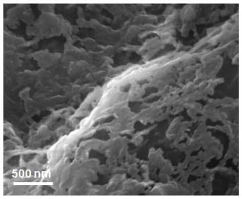 A long cycle life lithium-sulfur battery cathode material, cathode and its preparation and application