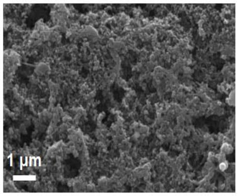 A long cycle life lithium-sulfur battery cathode material, cathode and its preparation and application