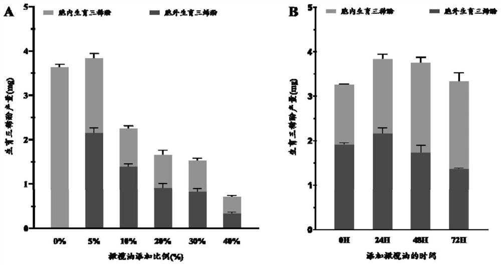 Genetically engineered bacterium for exocytosis of tocotrienols and application of genetically engineered bacterium