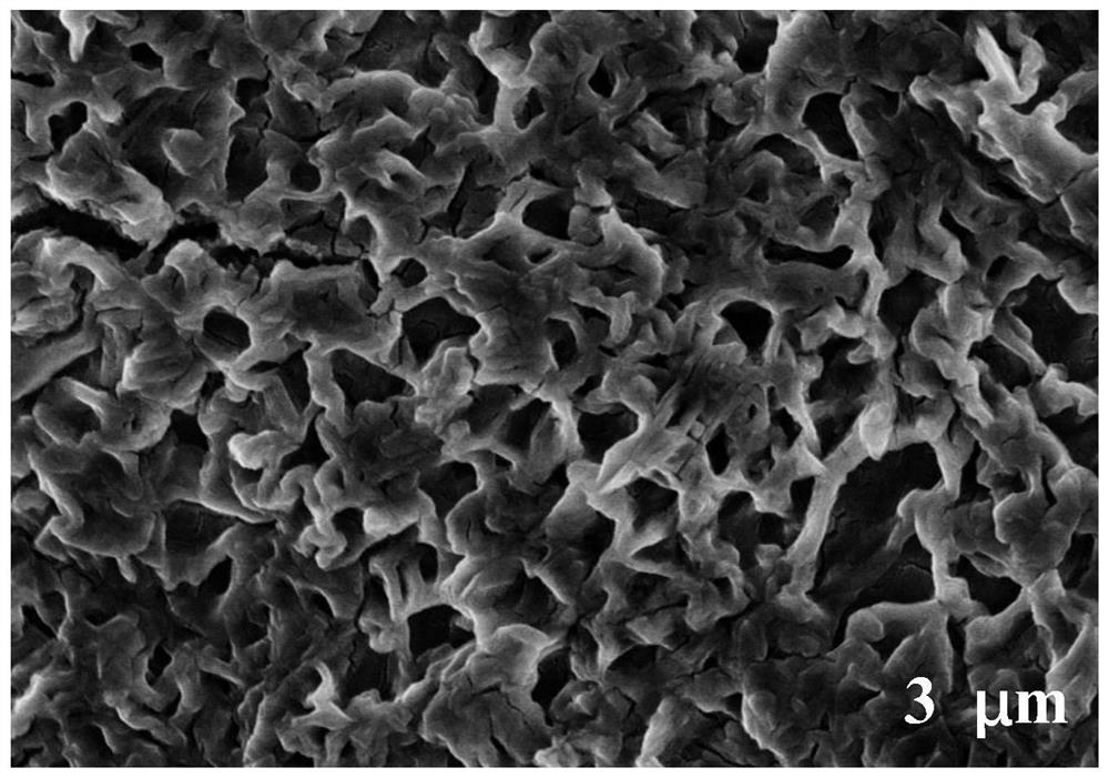 Preparation of a self-healing hydrogel electrolyte with ion channels and its application in all-solid supercapacitors