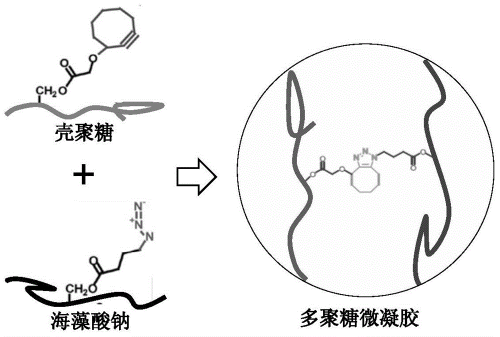 Preparation method of copper-free click crosslinking polysaccharide microspheres