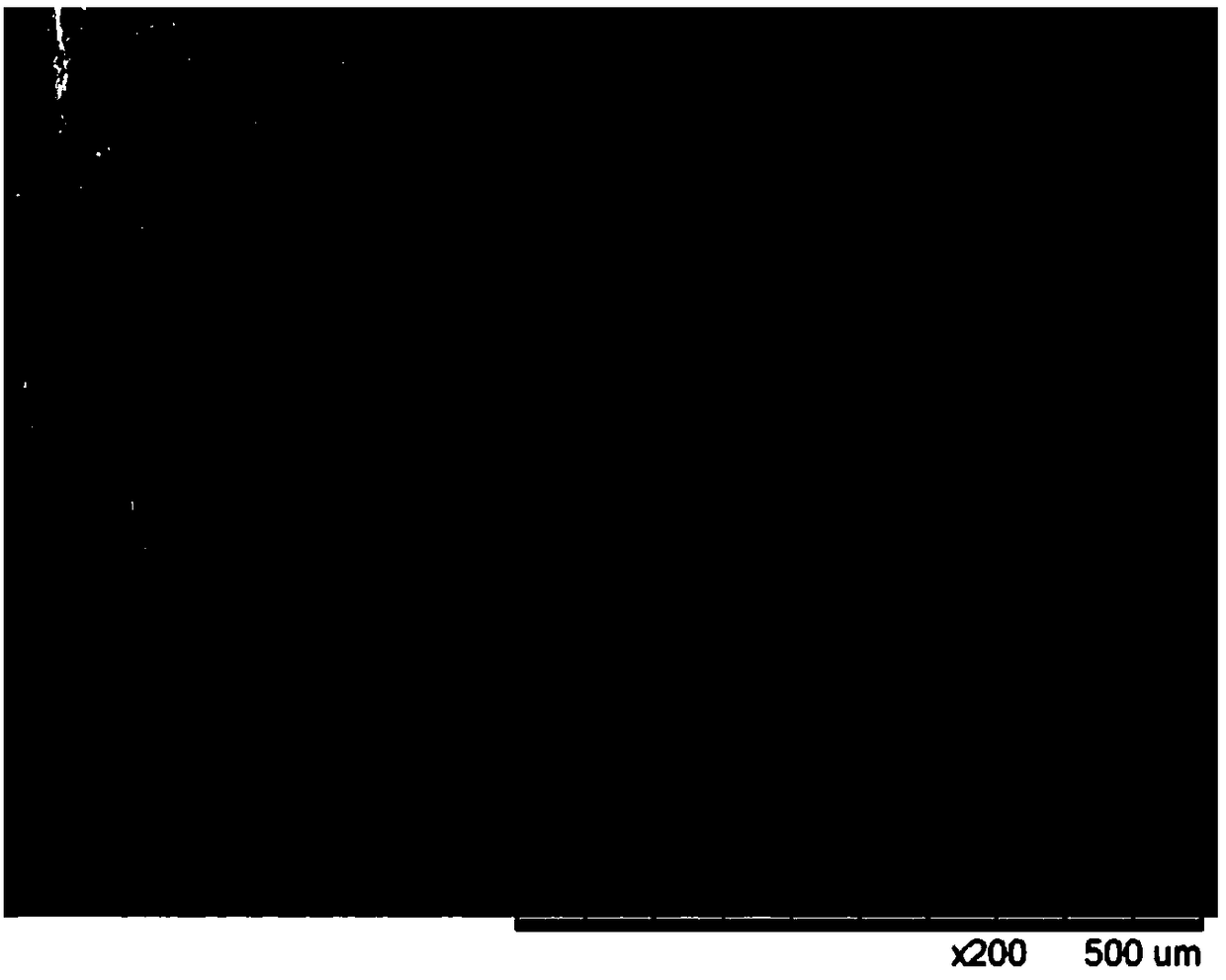 Decellularized black carp skin biomimetic substrate for regeneration restoration as well as preparation method and application thereof