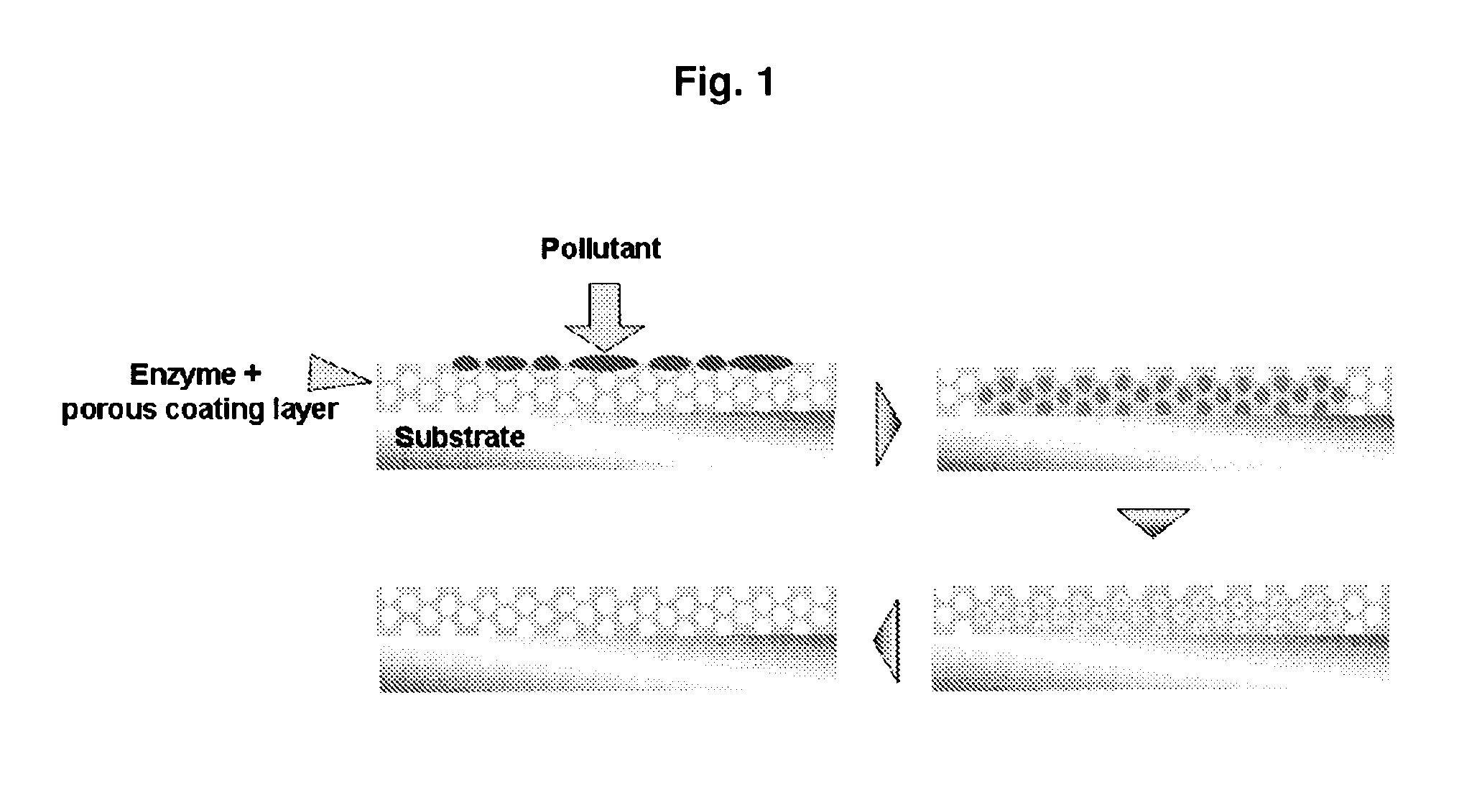 Porous structure for forming an Anti-fingerprint coating, method for forming an Anti-fingerprint  coating using the porous structure, substrate comprising the Anti-finger-print coating formed by the method, and products comprising the substrate