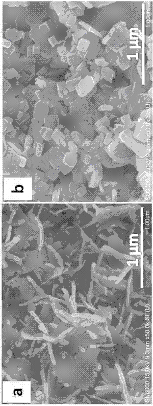 Method for one-step hydrothermal synthesis of different-morphology bismuth tungstate two-dimensional photocatalytic materials
