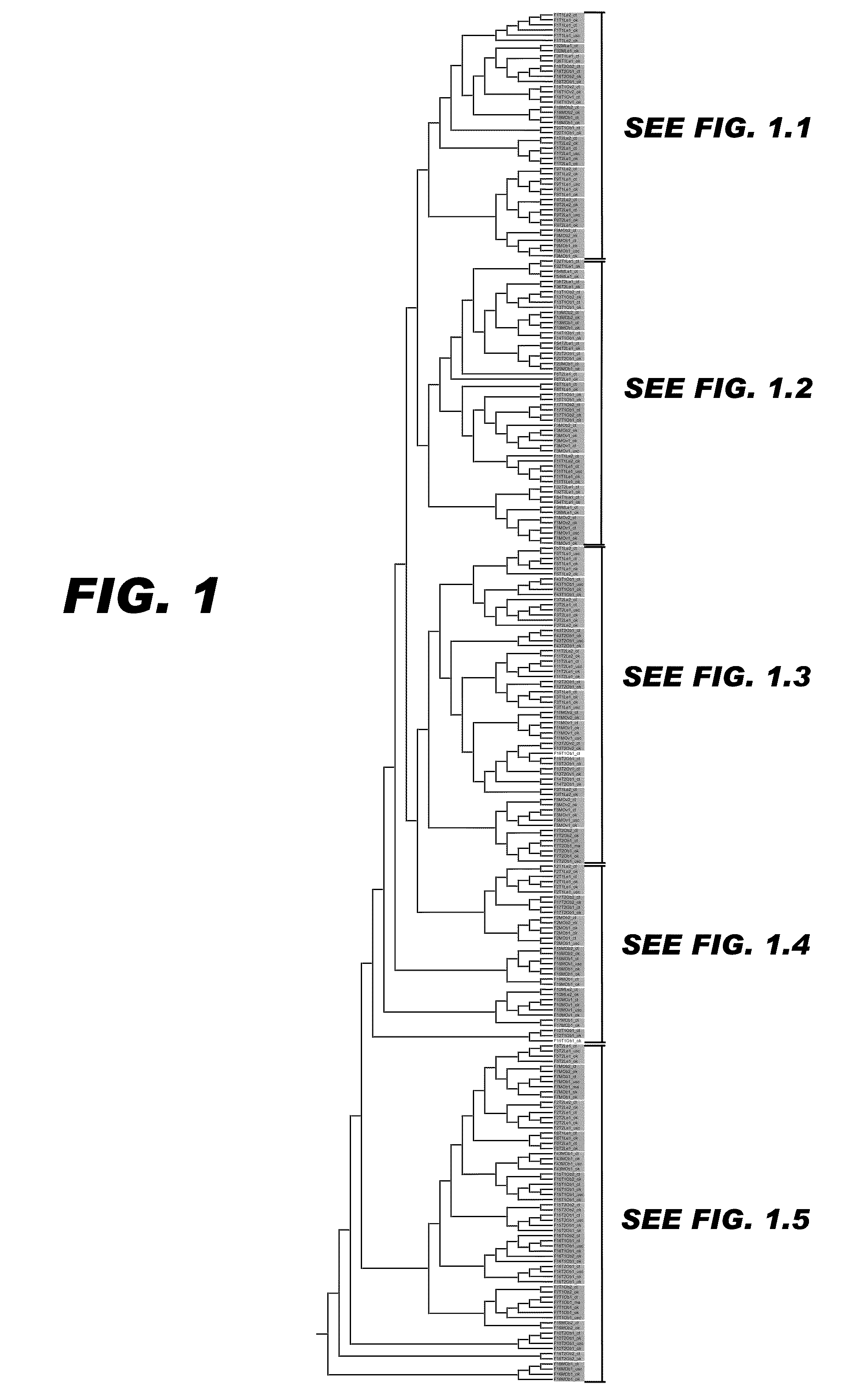 Methods for promoting weight loss and associated arrays