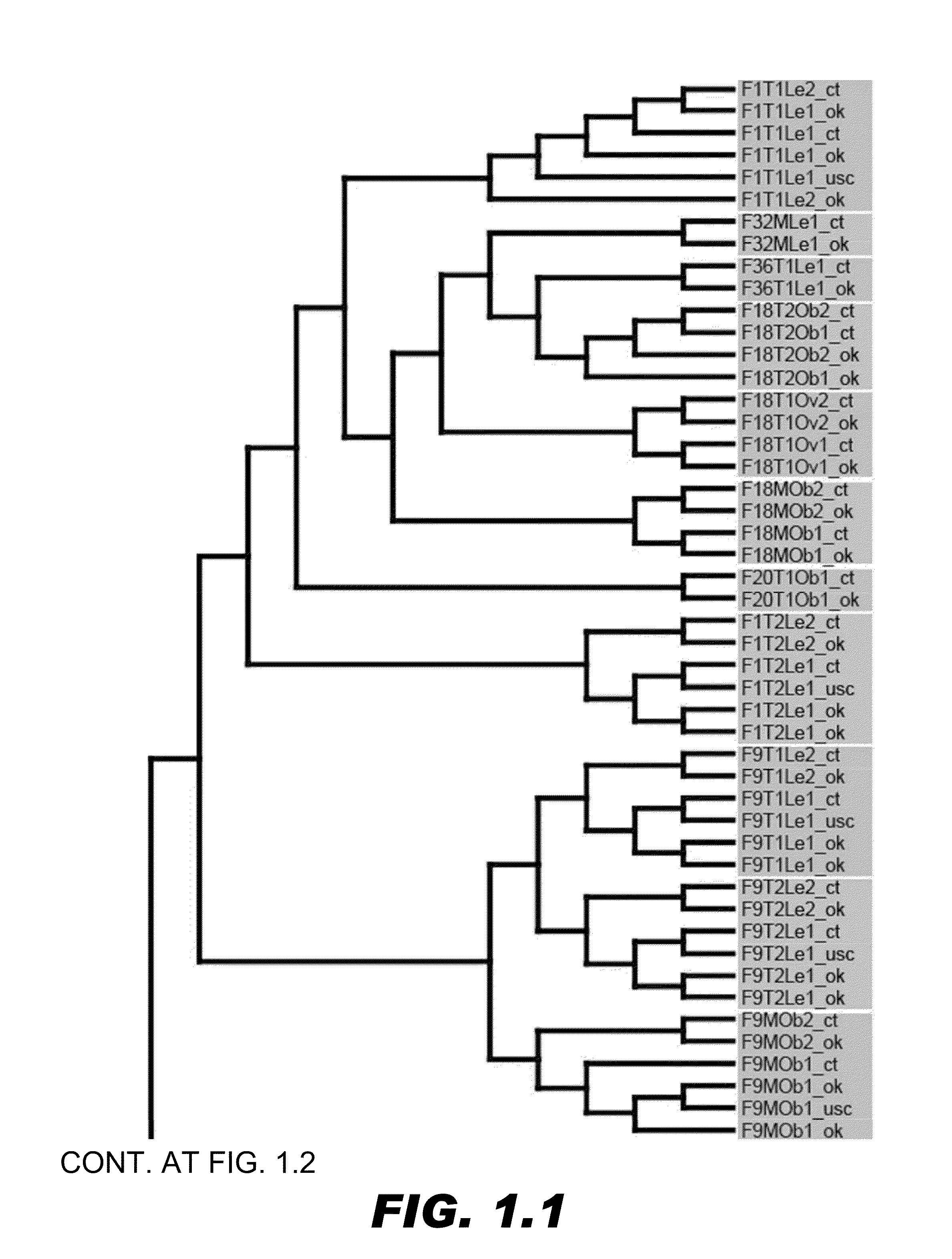 Methods for promoting weight loss and associated arrays
