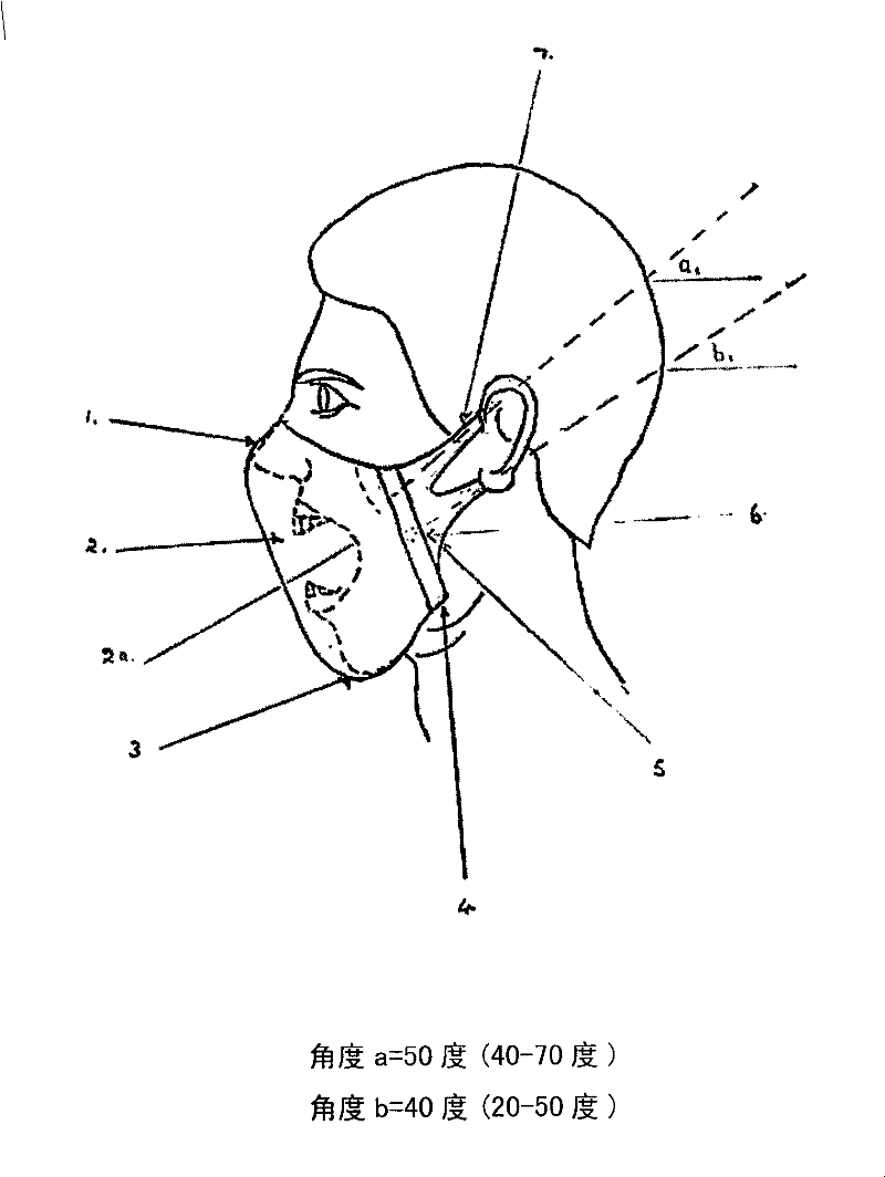 Nano-breathing mask