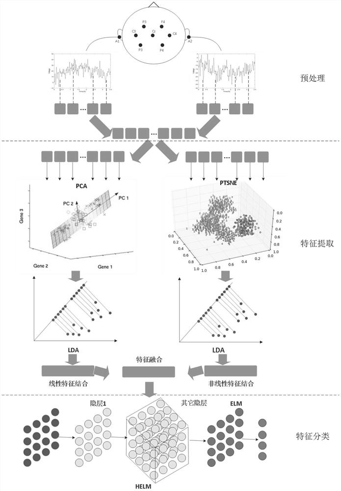 EEG classification method based on helm combined with ptsne and lda feature fusion