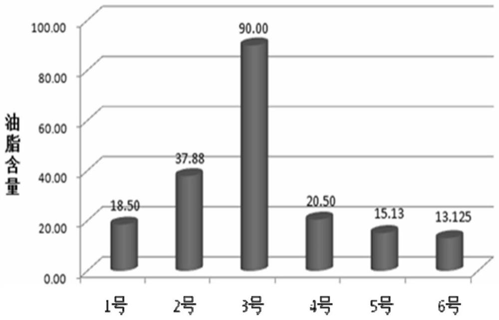 A kind of emulsion in oil type foundation emulsion and preparation method thereof