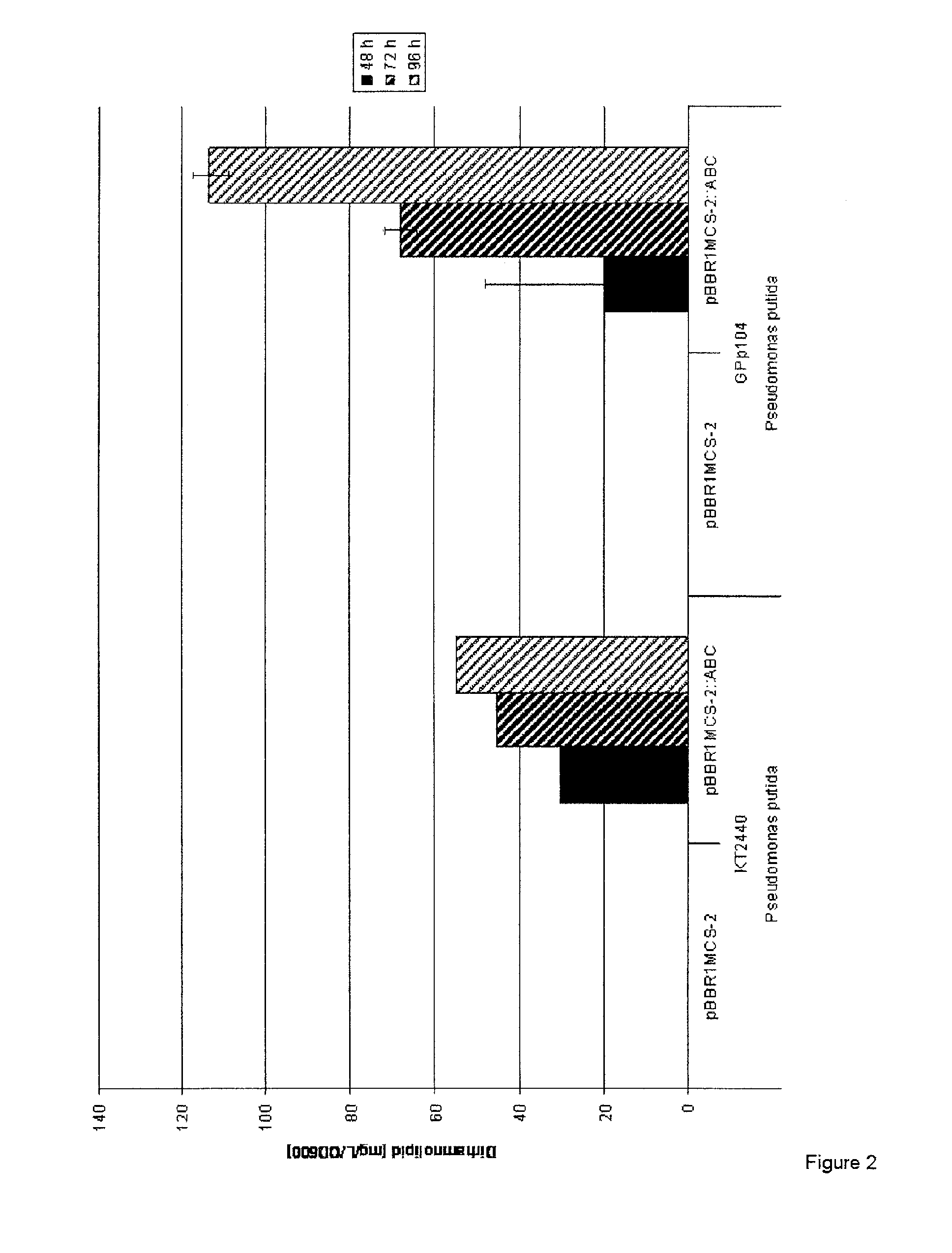 Cells and methods for producing rhamnolipids