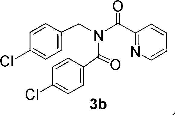 Preparation method of para-diimide derivative