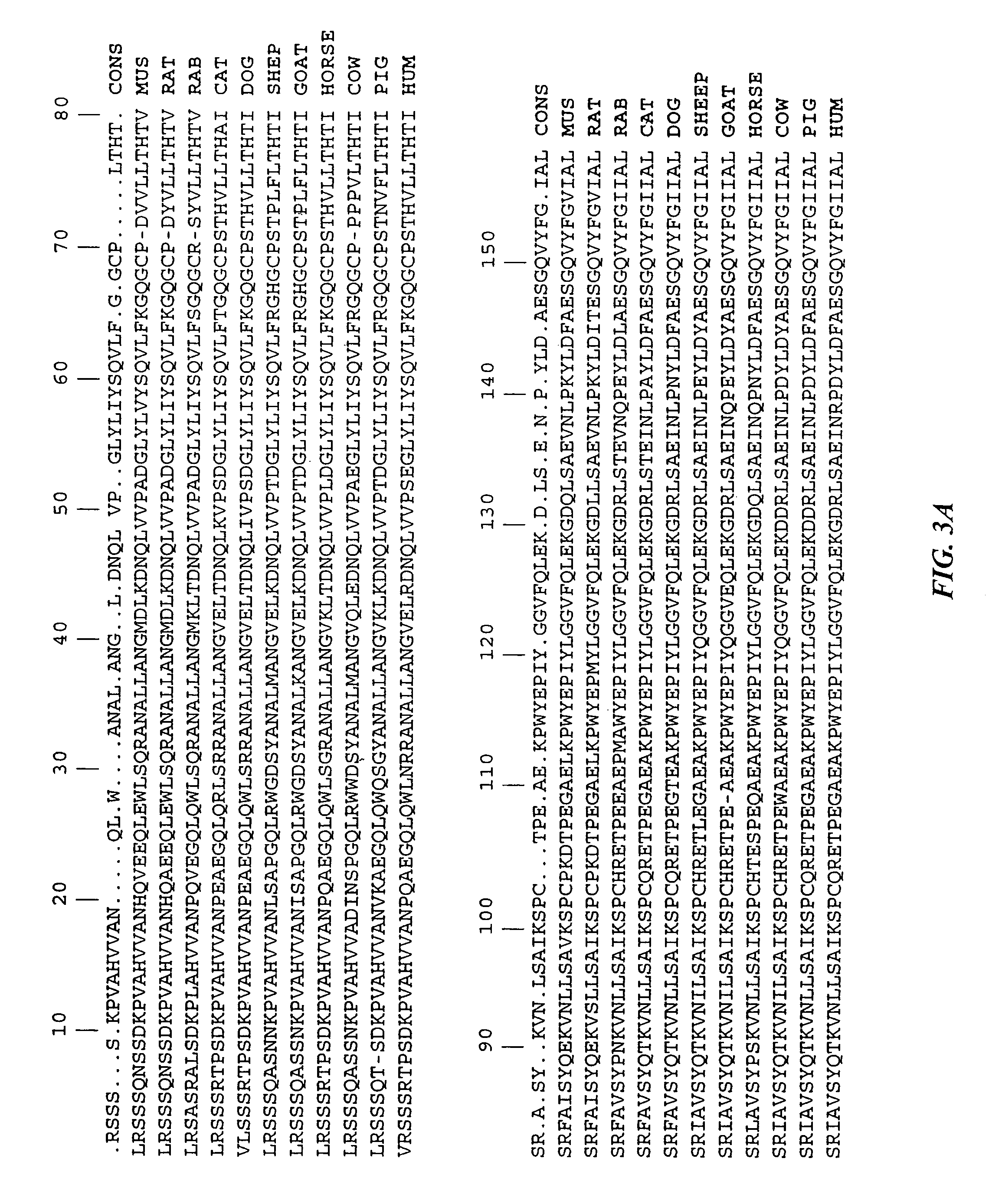 Immobilized tumor necrosis factor-alpha muteins for enhancing immune response in mammals