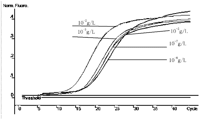 Method for detecting phthalic acid esters (PAEs) with molecular beacon fluorescence quantitative PCR