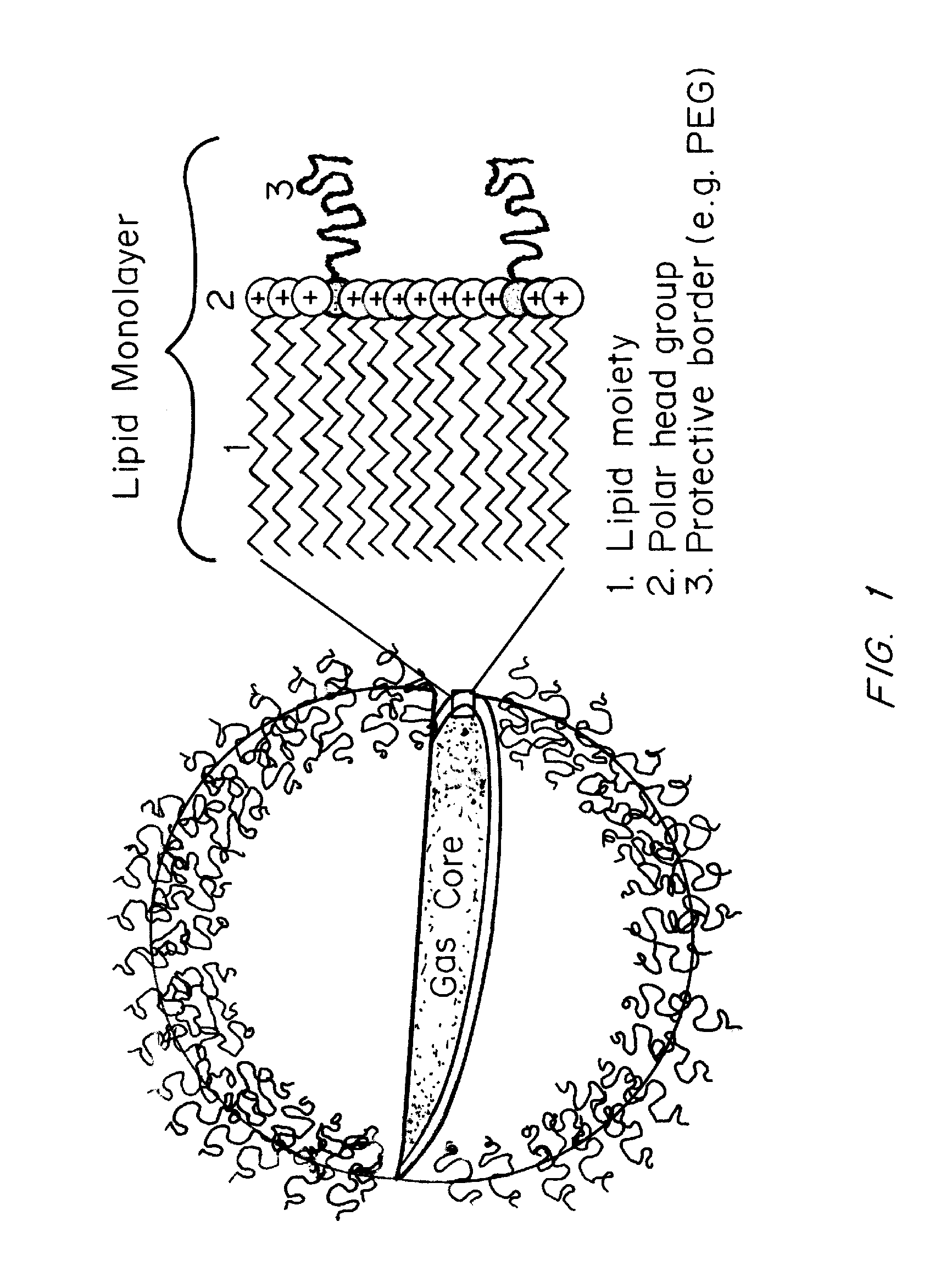 Microbubbles and methods for oxygen delivery