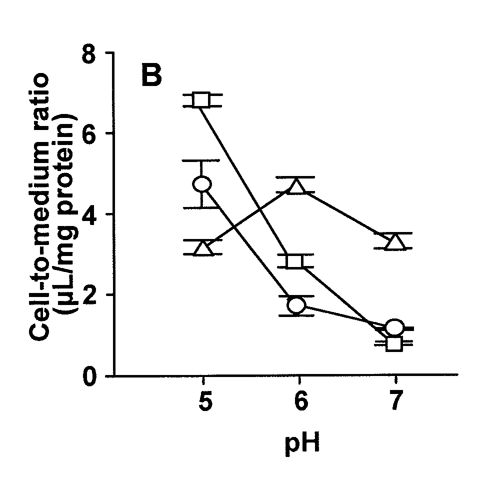 Gastrointestinal Absorption Enhancer Mediated By Proton-Coupled Transporter and Its Preparing Method