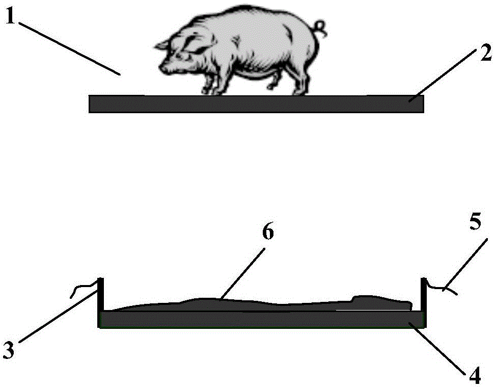 A Simple Method of Using Black Soldier Fly Larva to Dispose of Pig Manure