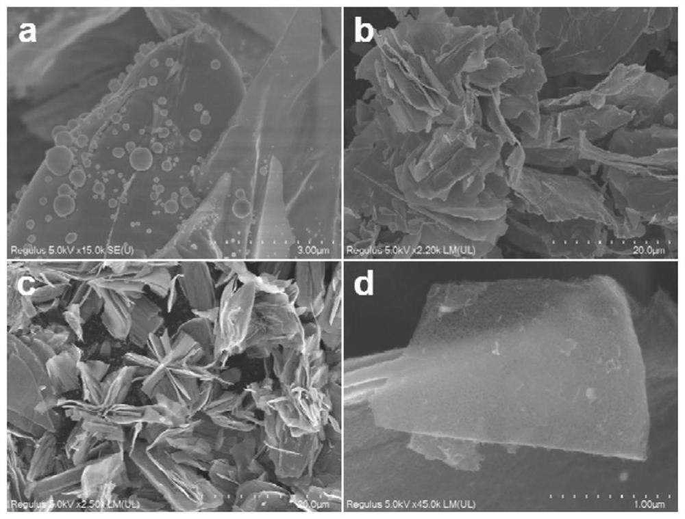 Nano bismuth/nitrogen-doped carbon foam nanosheet two-dimensional composite material as well as preparation method and application thereof