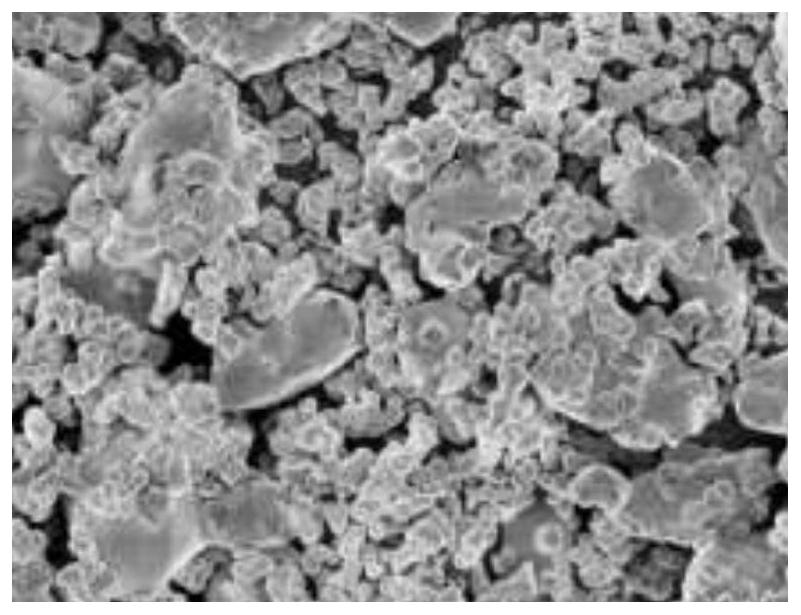 Preparation method of CoFe2O4/F-Ag2MoO4 composite material