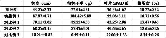 Saline-alkali soil improver containing glomus mosseae and improvement method