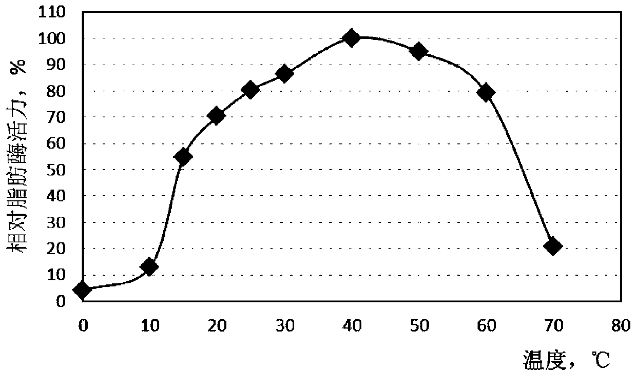 A kind of lipase derived from Cladosporium, its coding gene sequence and use thereof