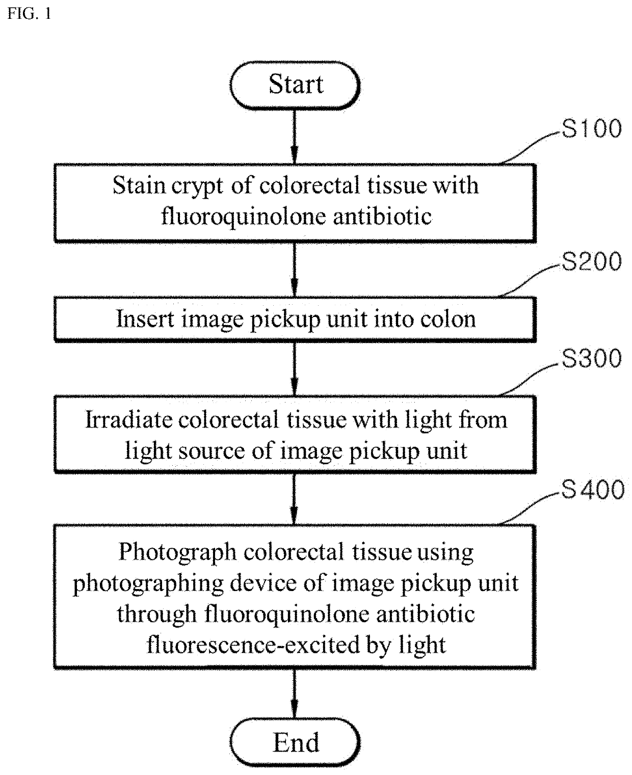 Fluorescence endoscopic method for visualization of colorectal tissue using fluoroquinolone antibiotics and method for diagnosis of lesions of colorectal tissue using the same