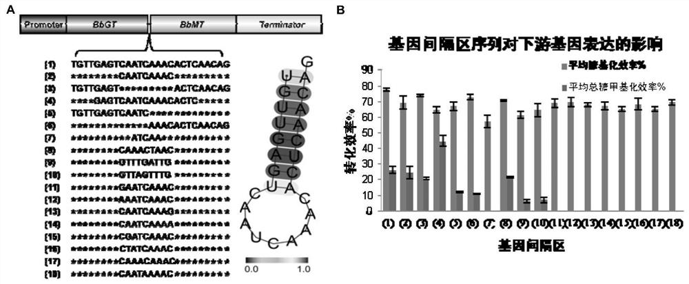 A high-efficiency and controllable expression system of exogenous genes carried by endogenous