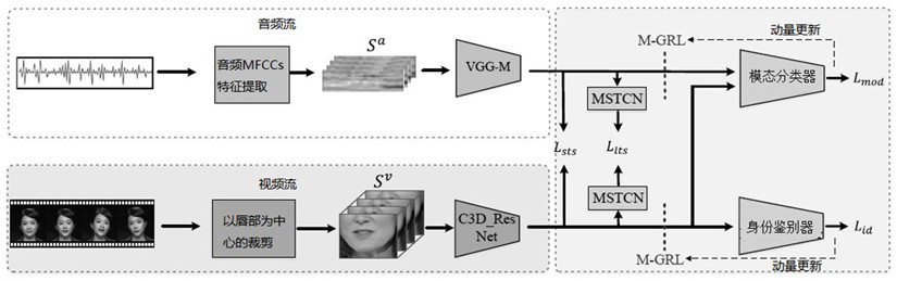 An adversarial double-contrast self-supervised learning method for cross-modal lip reading