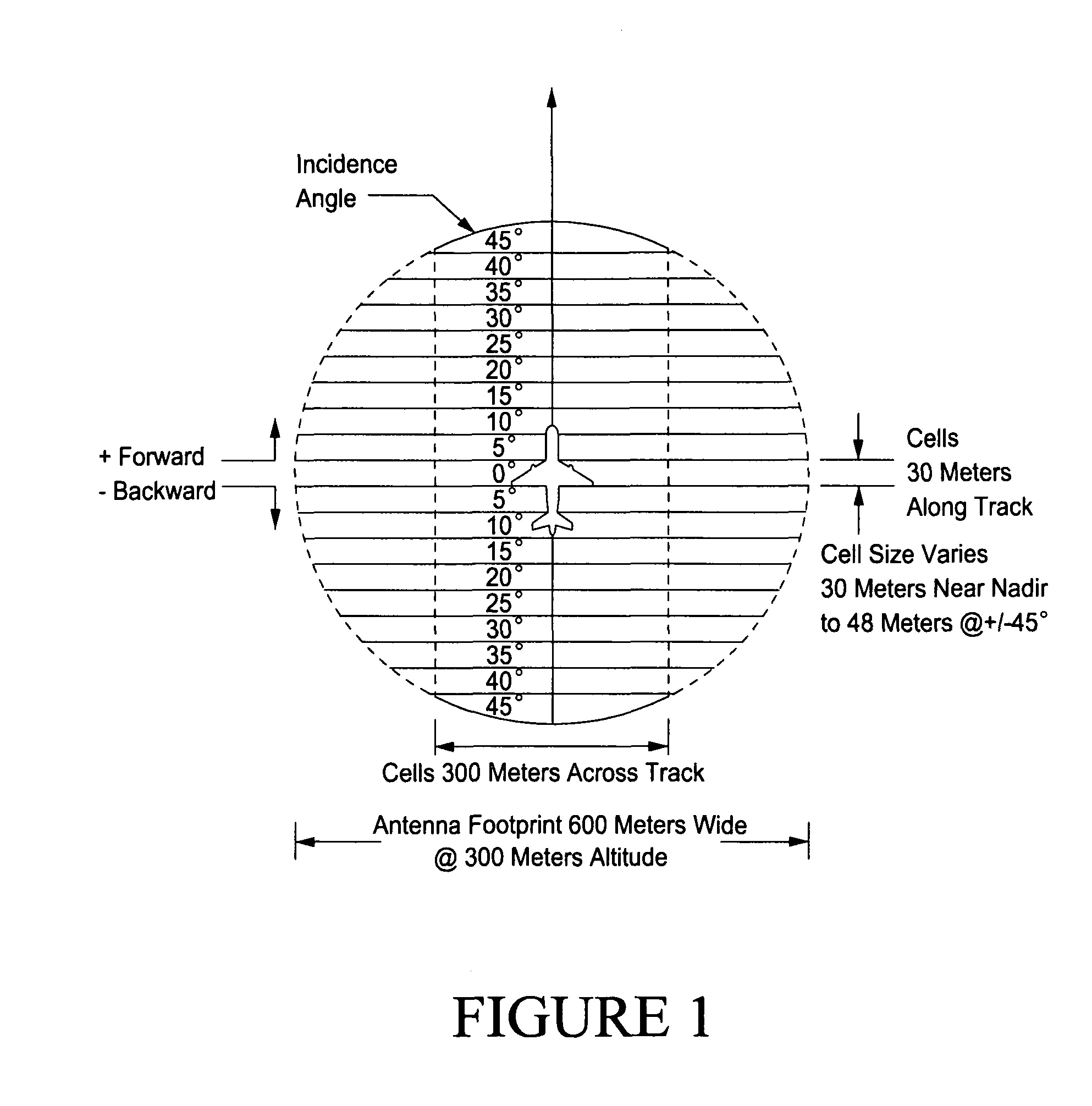 System, method, and apparatus for remote measurement of terrestrial biomass