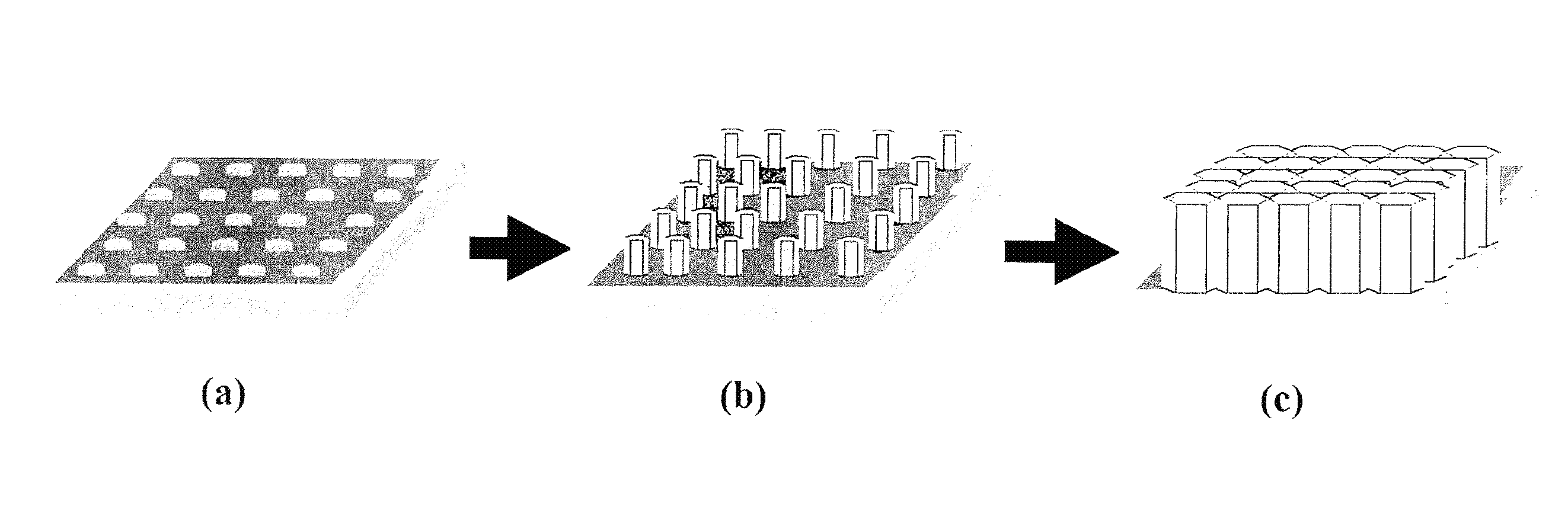 Ion/proton-conducting apparatus and method