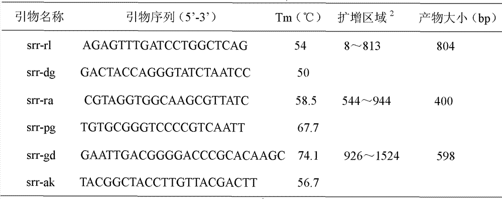 Gene chip for detecting 15 clinical common pathogenic microorganisms