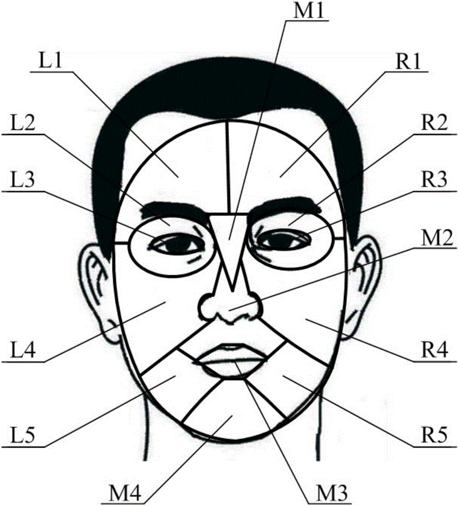 Face skin detection method based on artificial neural network