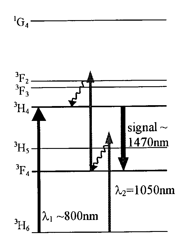 Dual-wavelength pumped thulium-doped optical fiber amplifier