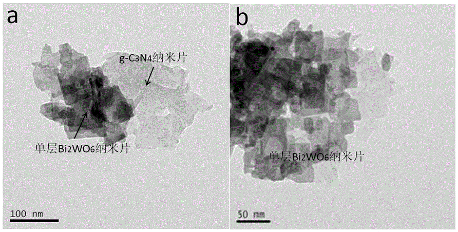Heterojunction material formed by supporting single-layer Bi2WO6 nanosheet on g-C3N4 (Graphite-phase C3N4) nanosheet as well as preparation method and application of heterojunction material