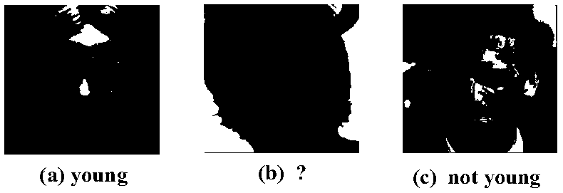 A zero-shot image classification method based on relative attribute random forest