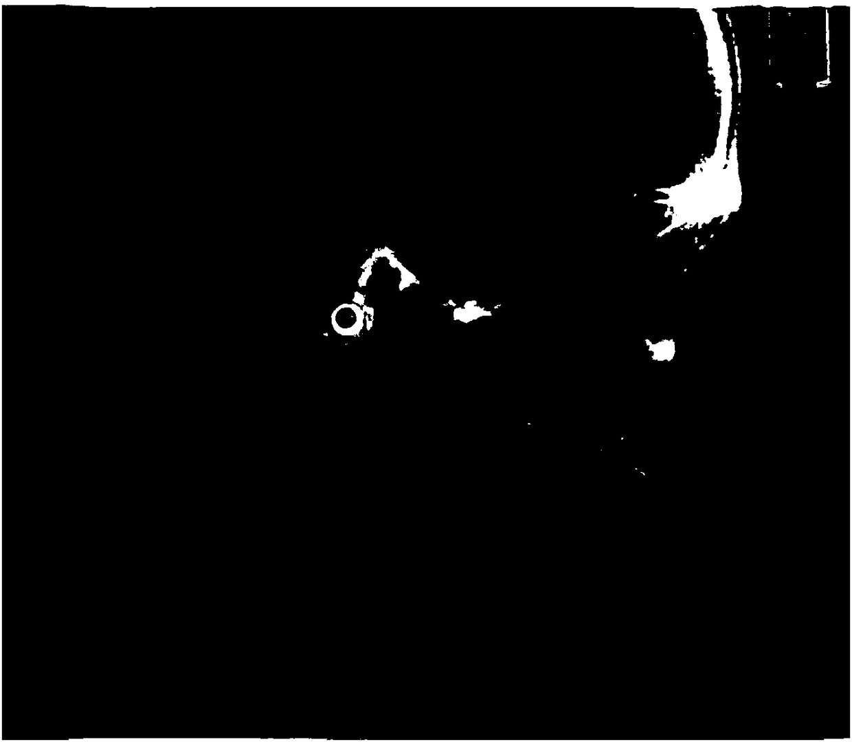 Soft palate morphology and development detection method