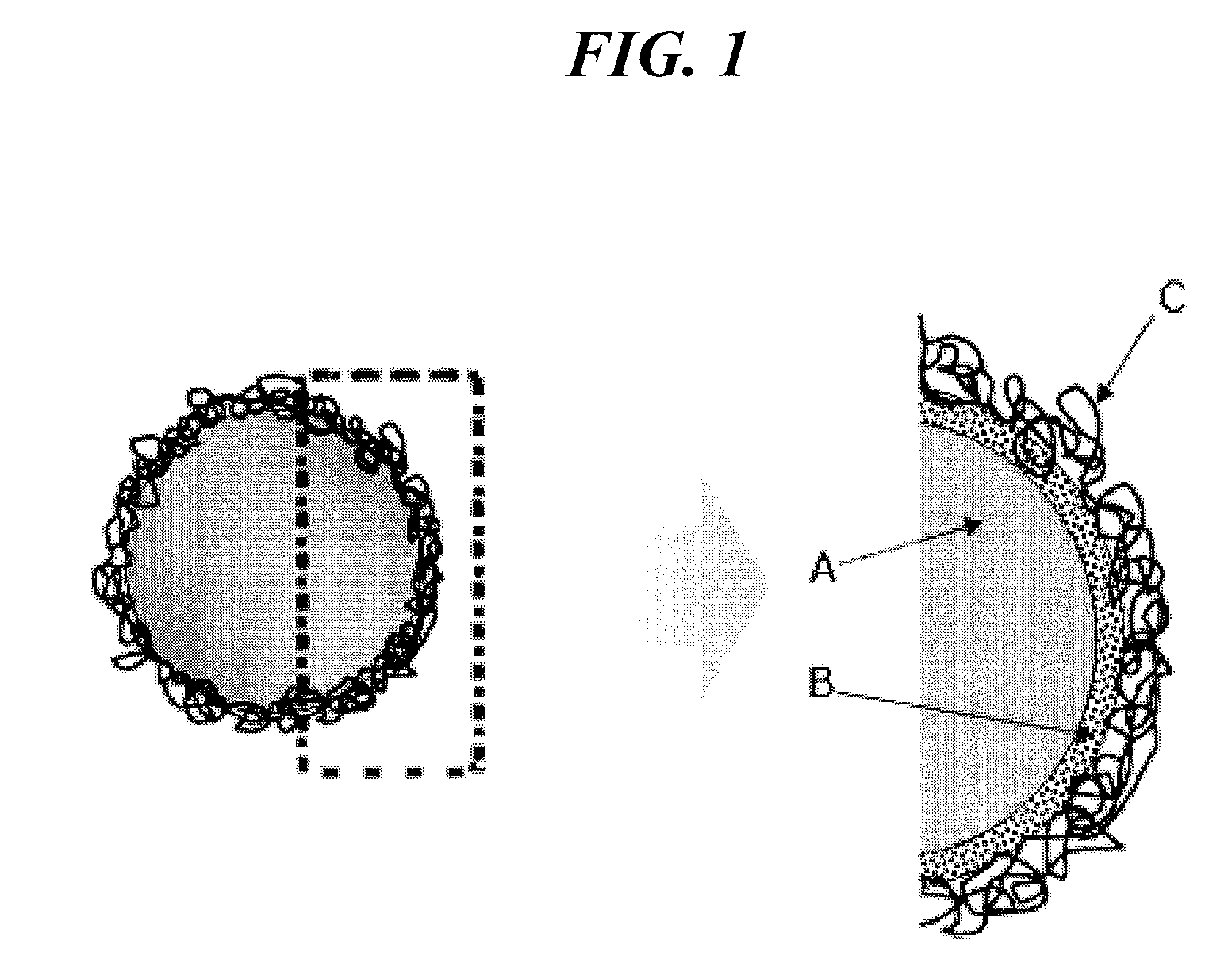 Electroconductive particle and anisotropic conductive film comprising same
