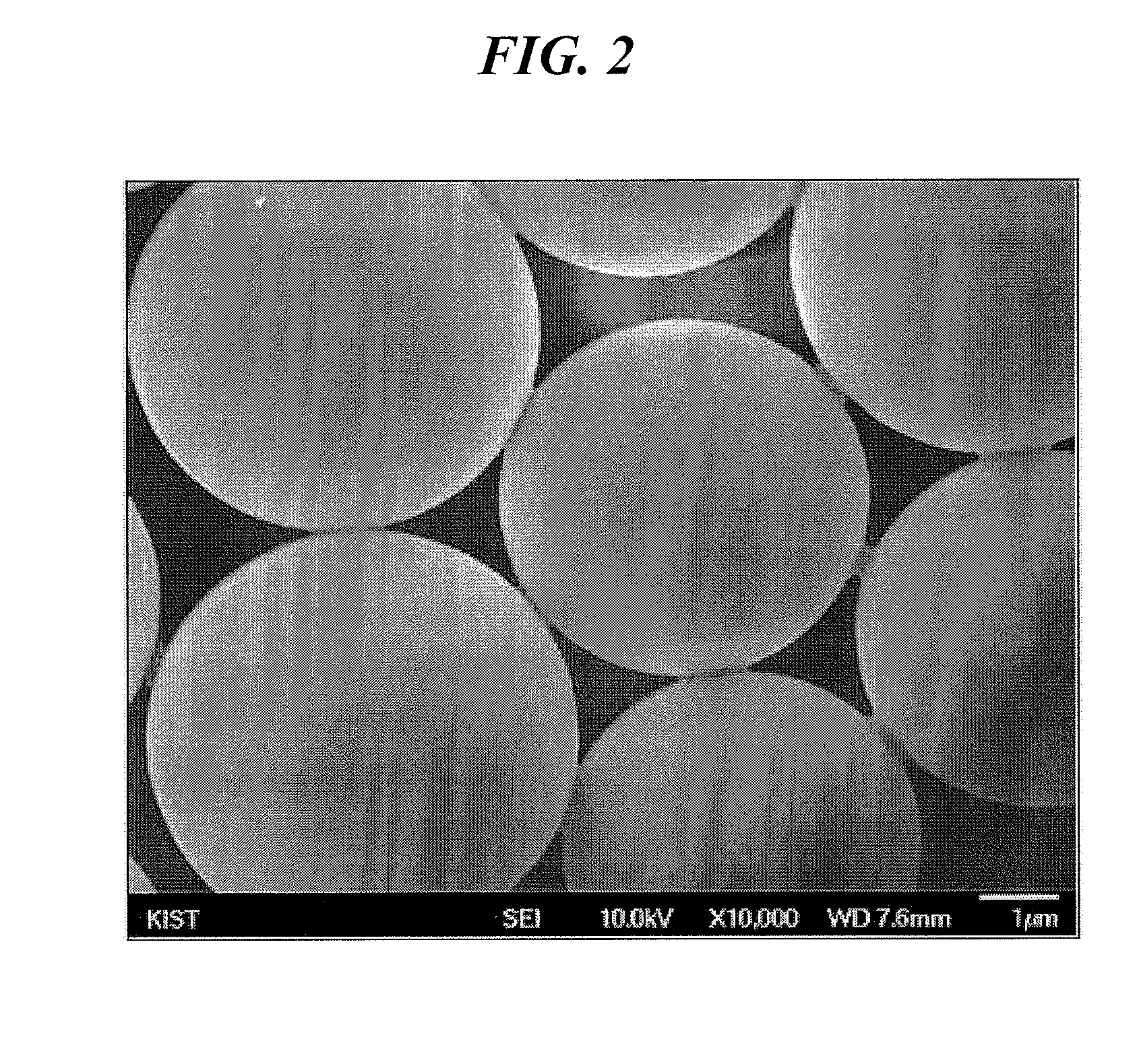 Electroconductive particle and anisotropic conductive film comprising same
