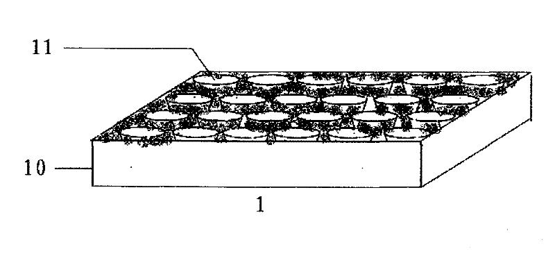 Device for operating and culturing animal embryo in vitro