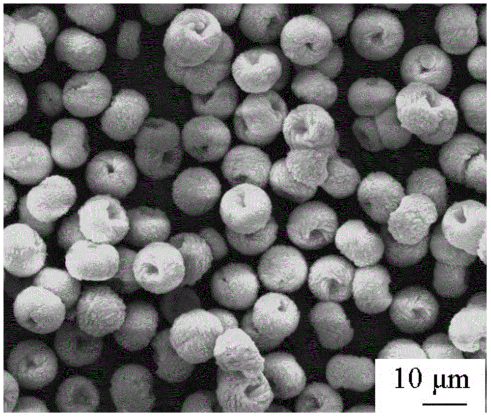 Axiolitic Zn8[(BO3)3O2(OH)3]: Eu3&lt;+&gt; light emitting material with vortexes and preparation method of axiolitic Zn8[(BO3)3O2(OH)3]: Eu3&lt;+&gt; light emitting material